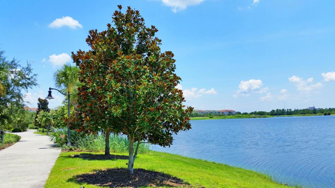 Gorgeous 1St-Floor, End Unit Condo W Lakeview Orlando Exterior foto